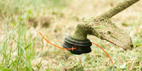 6 Best Weed Wackers Of 2018 New String Trimmer Reviews Image