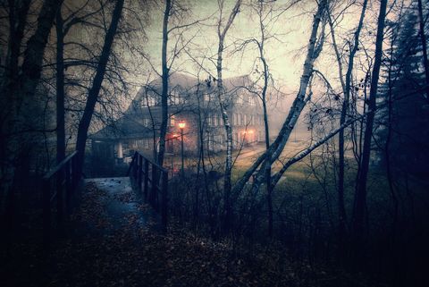 A large house at dusk with lights glowing. Woodland. A footbridge.