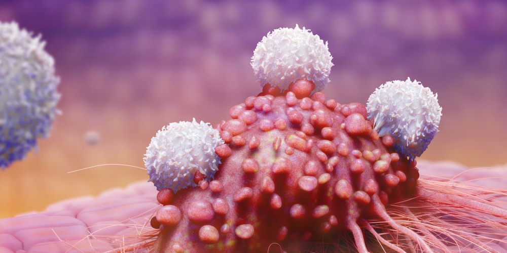 Jaké jsou 10 nejsmrtelnějších rakovin?