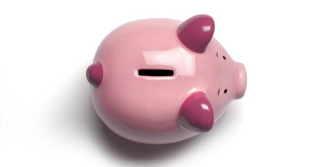Pink, Piggy bank, Saving, Snout, Money handling, Domestic pig, 