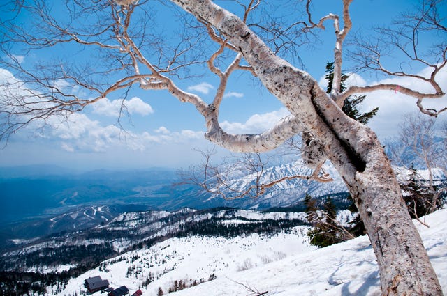 Japanse besneeuwde bergen