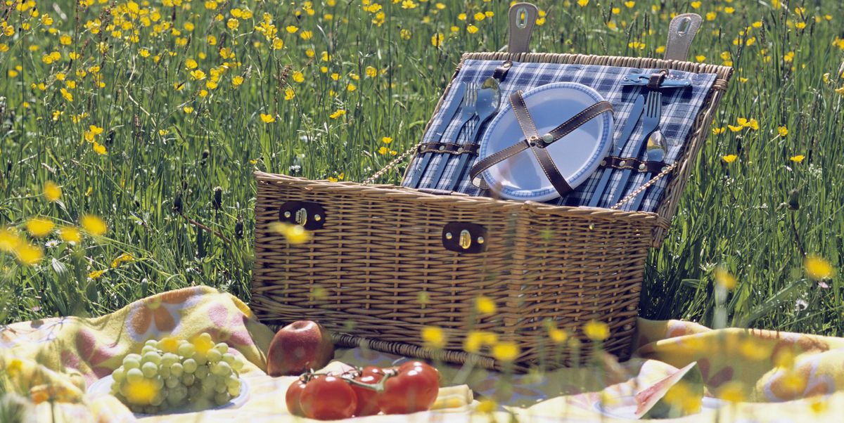 Buena suerte animal Sillón Las 10 mejores cestas de pícnic para llevar la comida