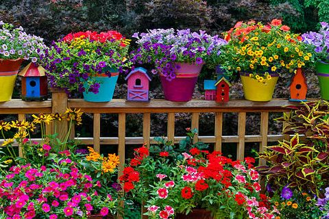 85 Best Backyard Ideas Easy Diy, How To Decorate A Garden