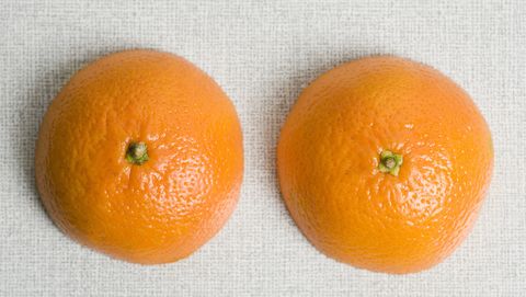 Oranges Sliced in Half