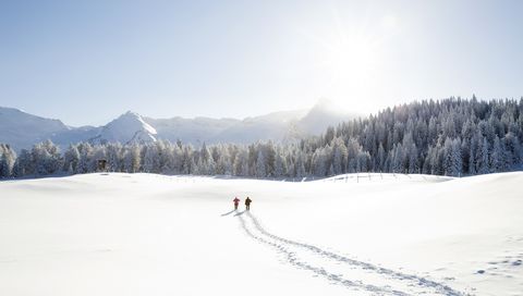 Snow tracks of senior couple walking to trees and mountain range, Sattelbergalm, Tyrol, Austria