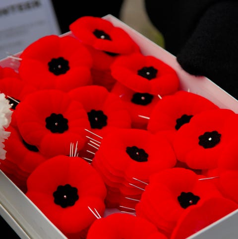 Red, Poppy, Poppy family, Coquelicot, Ladybug, Plant, Flower, Red, Poppy, Poppy family, Coquelicot, Ladybug, Plant, Flower,