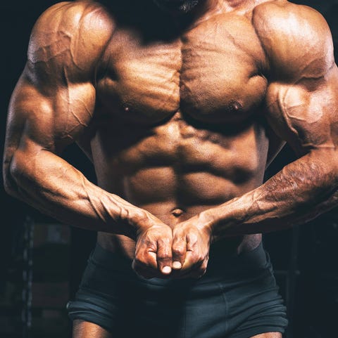 bodybuilder, bodybuilding, topless, muscle, physical fitness, fitness professional, chest, abdomen, standing, arm, bodybuilder, bodybuilding, topless, muscle, physical fitness, fitness professional, chest, abdomen, standing, arm,