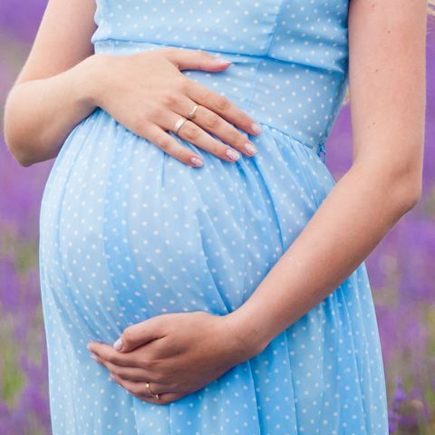 pregnant girl in a lavender field