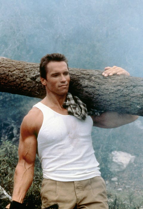 Arnold Schwarzenegger’s 'Commando', the Most ‘80s Action Movie of the ...