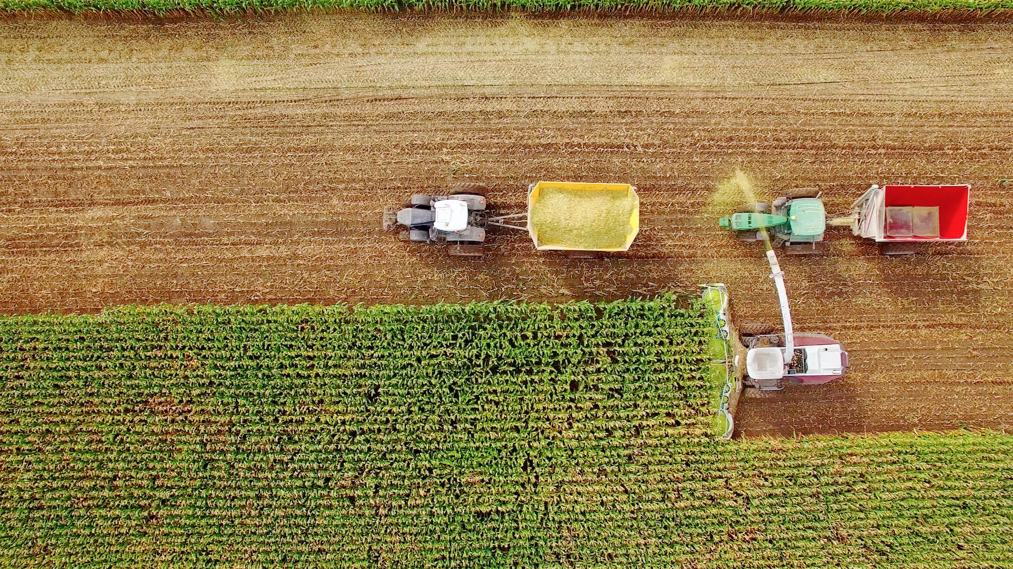 Corn-Based Ethanol Doesn't Solve Any Emissions Problems