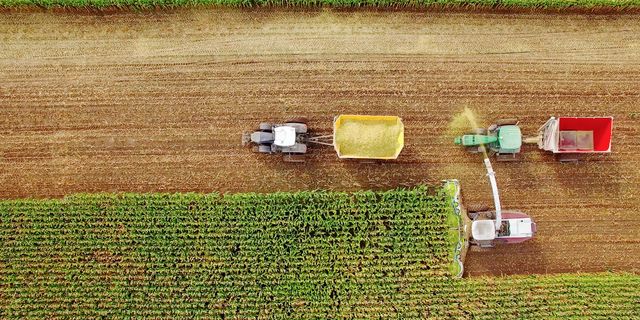 farm machines harvesting corn in midwest, september, aerial view