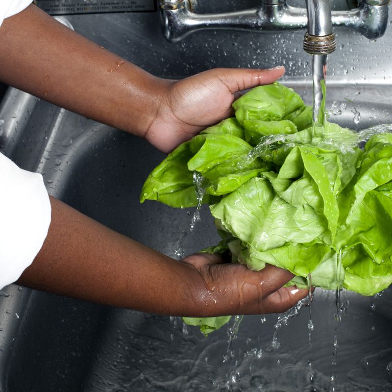 Chef washing Boston lettuce, produce