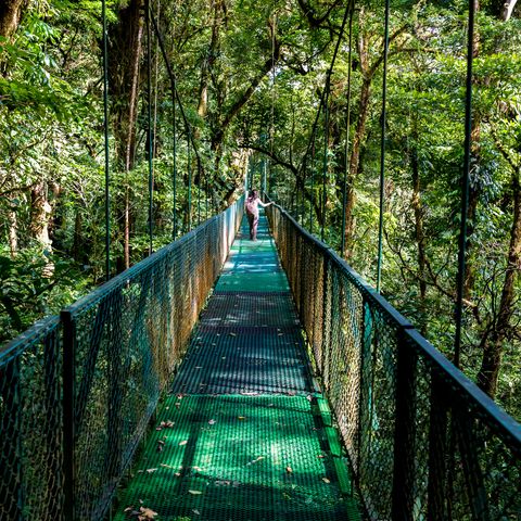 girl walking on suspension bridge at cloudforest monteverde, adventure in costa rica central america