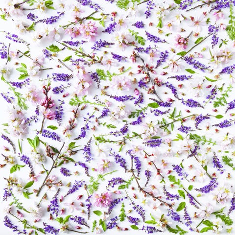 Flowers and leaves, seamless pattern, on white background Flowers and leaves, seamless pattern, on white background