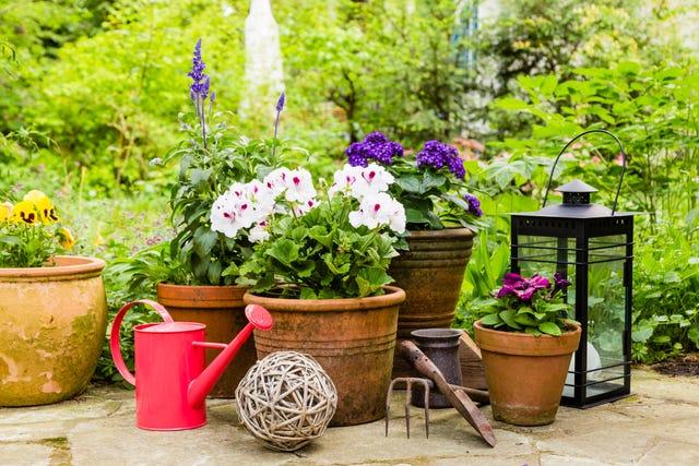 still life in the garden, still life in a garden