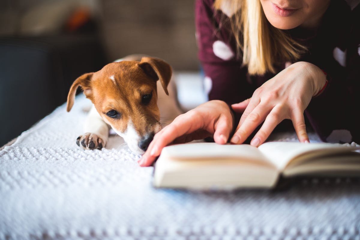 16 Best Books For Dog Lovers