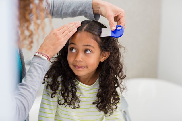 Nits Head Lice Treatments 2019