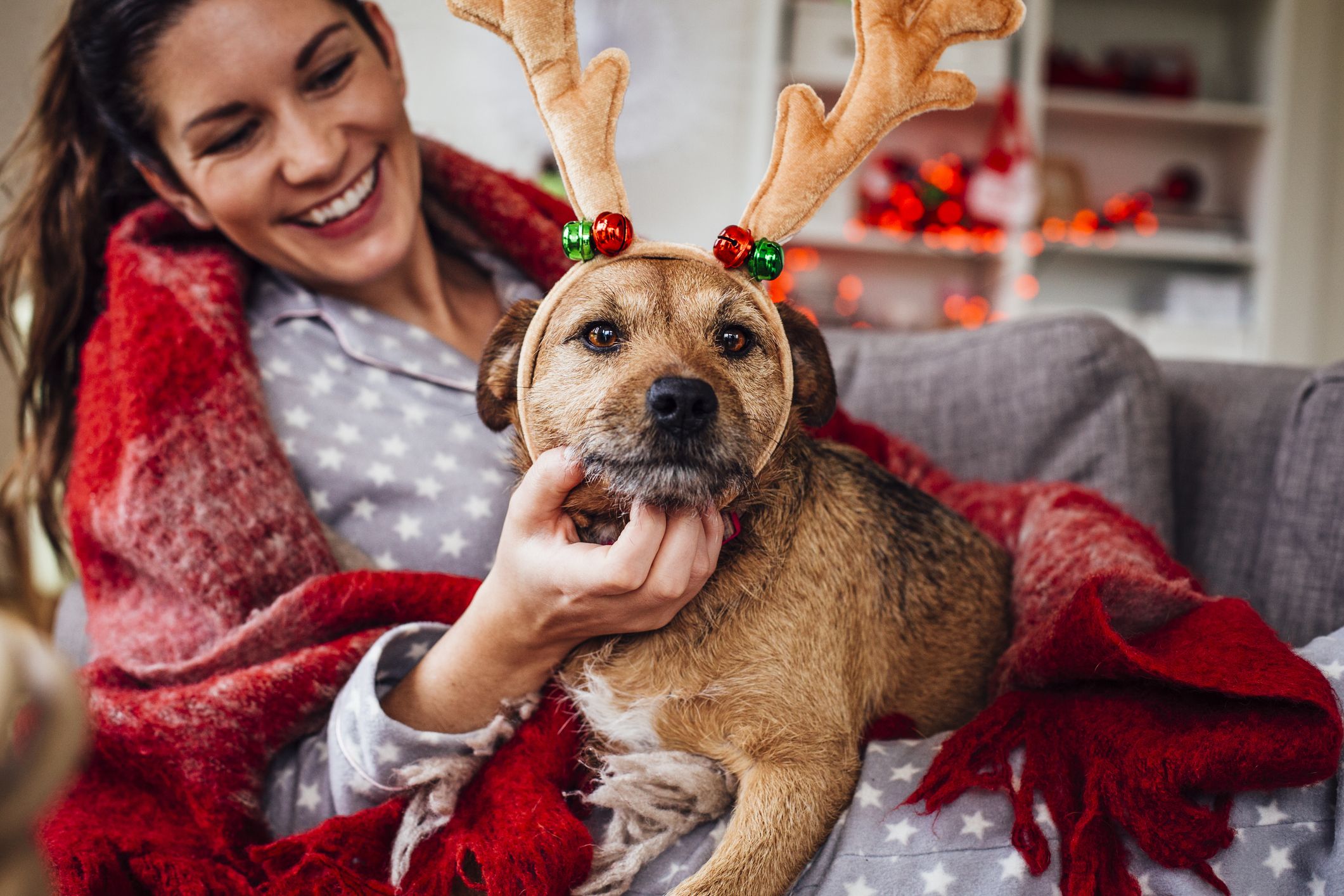 Proportioneel over compleet Aldi komt met matchende kersttruien voor jou en je hond