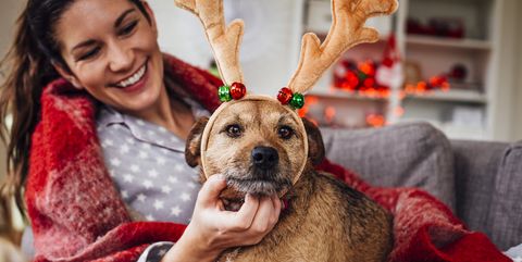 beu amateur Klacht Aldi komt met matchende kersttruien voor jou en je hond