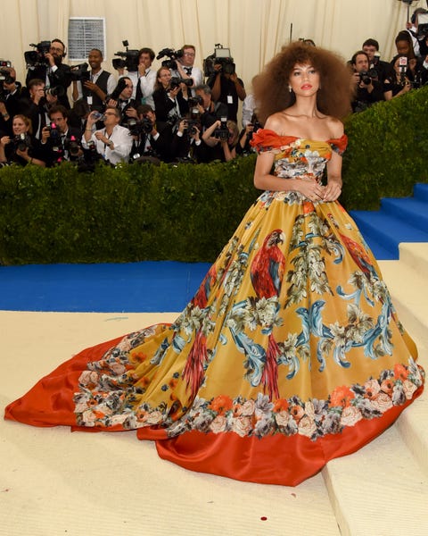 Photos of Zendaya's Met Gala 2017 Hair - Zendaya's Afro At the 2017 Met ...