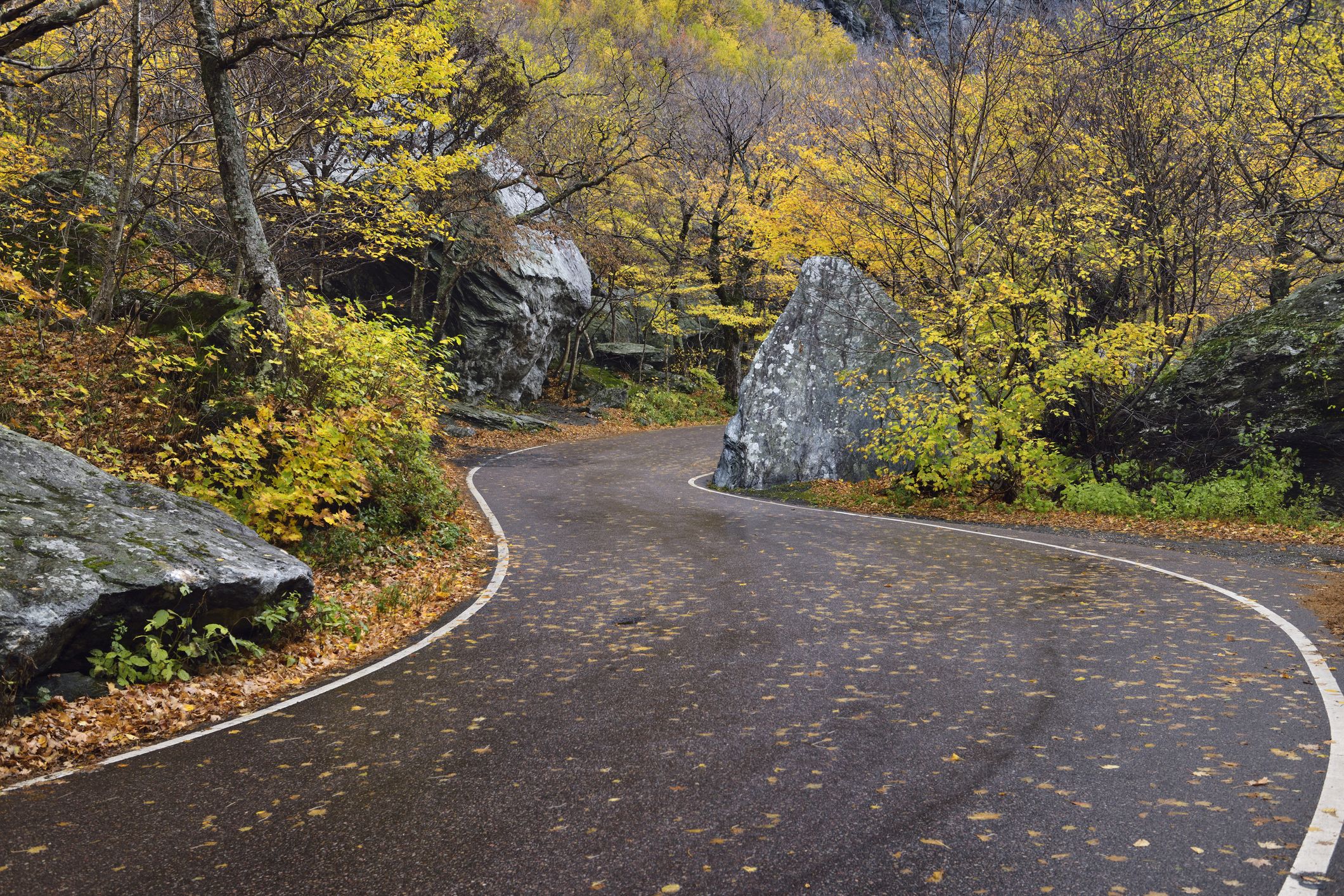 asphalt trail near me