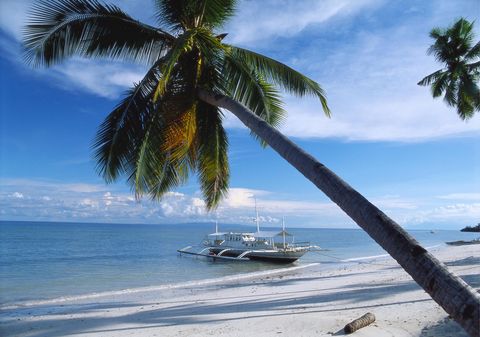 Tropics, Tree, Water transportation, Palm tree, Caribbean, Sky, Arecales, Vacation, Sea, Vehicle, 