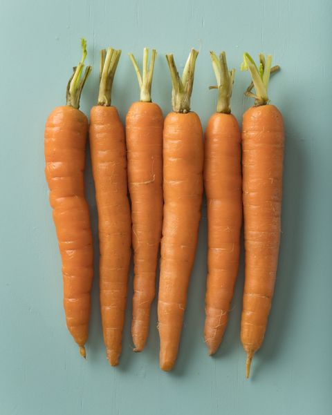 row of fresh orange carrots