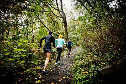 Running Trails Near Me - Best Trails to Run in the U.S.