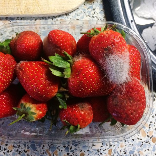 strawberries going bad