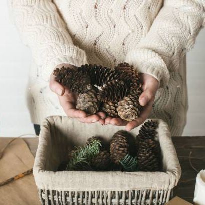 pine cones in basket