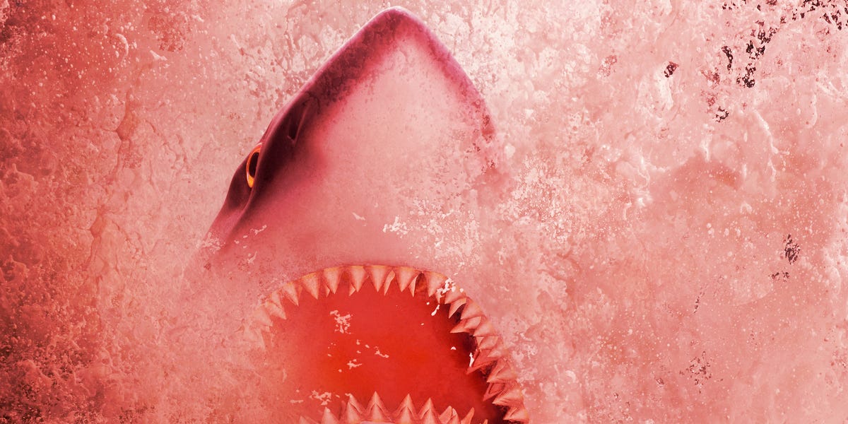 Download Why Is a Period Called Shark Week? - What Is Shark Week?