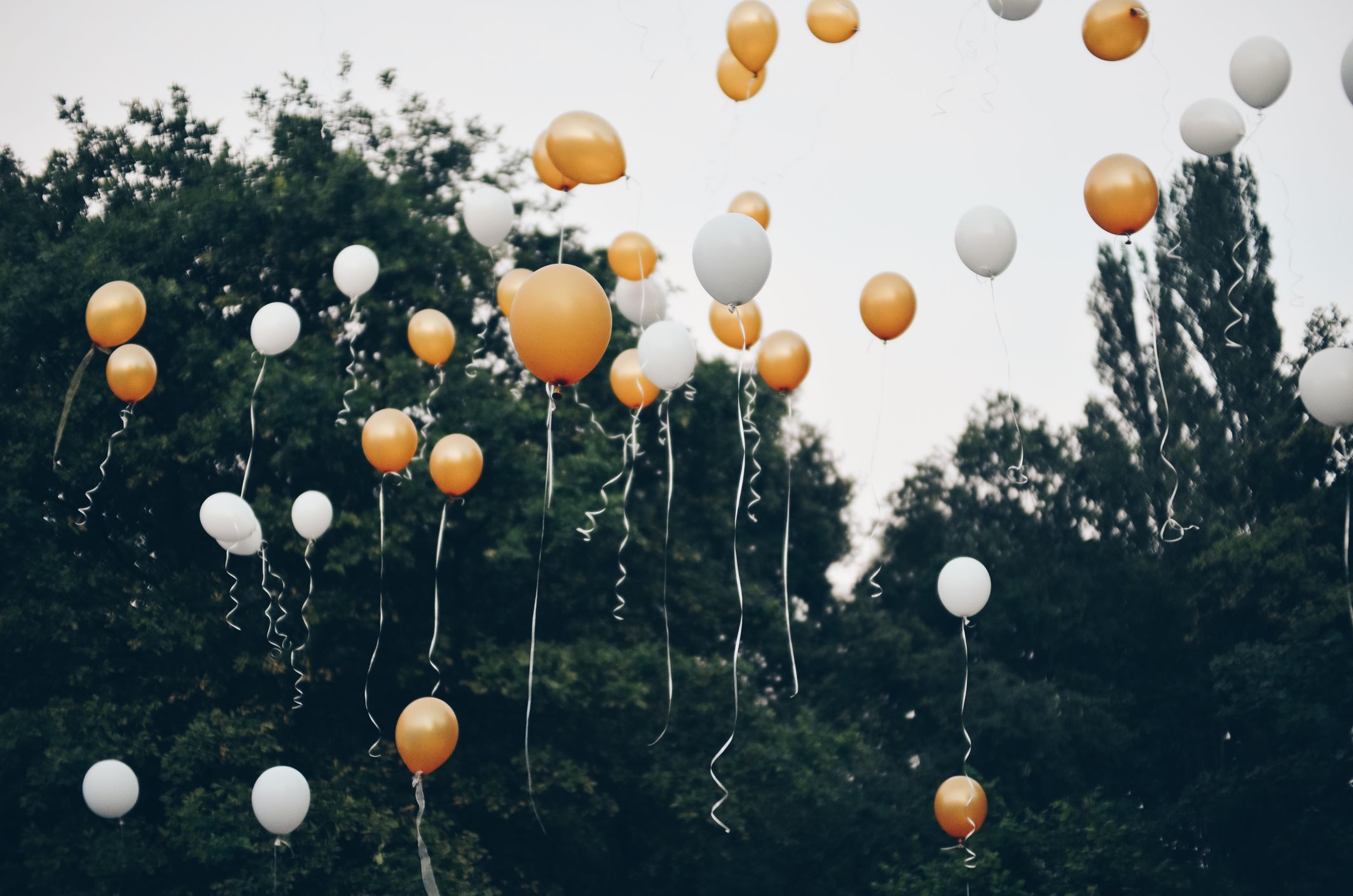 Auguri Di Laurea 10 Frasi Per Una Persona Speciale