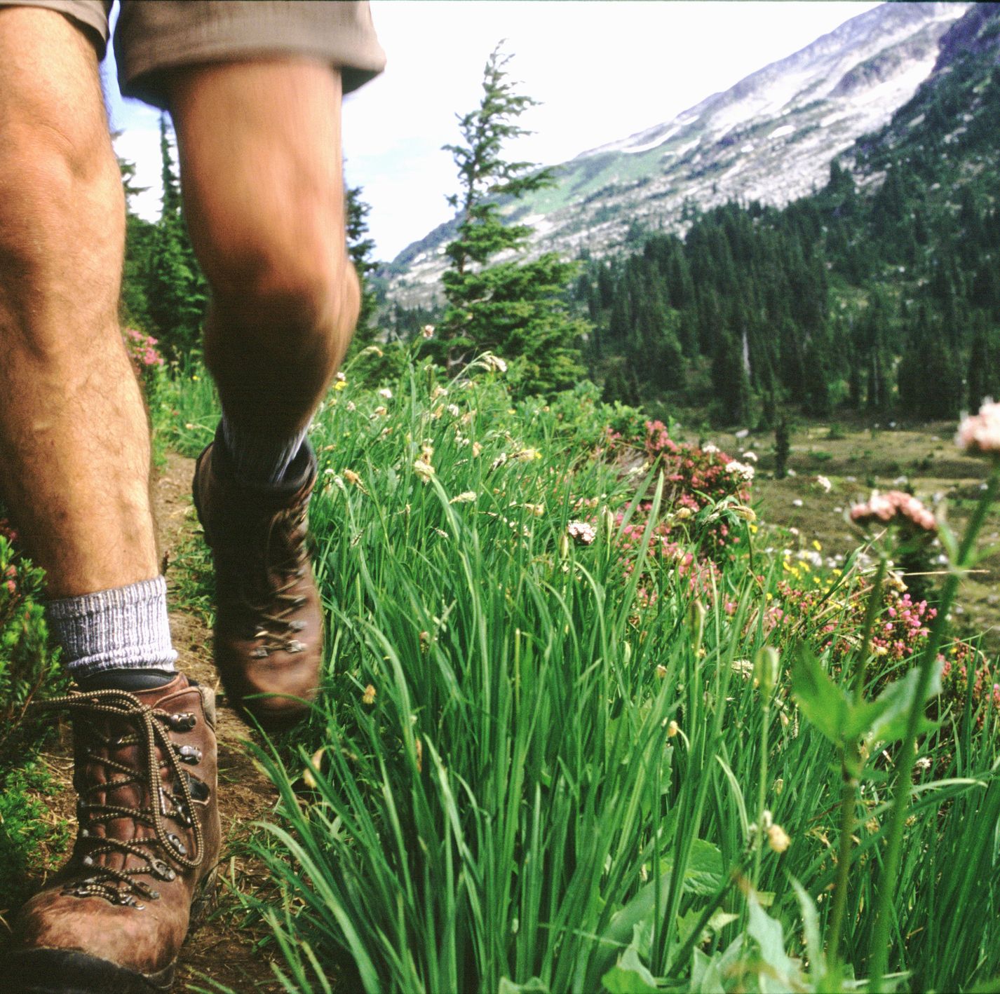 The Best Hiking Socks for Summer Treks
