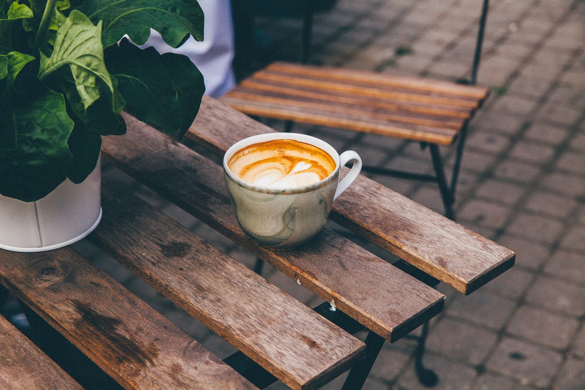 gardening-experts-says-you-should-water-your-plants-with-coffee