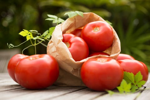 Tomatos outdoors