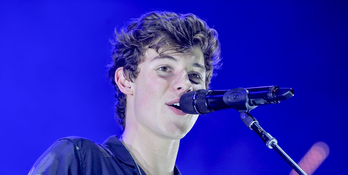 Shawn Mendes Reveals Which Girl Inspired His Hit Song Nothing Holding Me Back