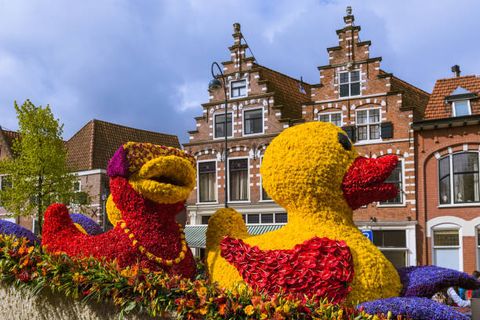 statue made of tulips on flowers parade in haarlem netherlands   holiday background