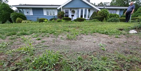 How To Get Rid Of Lawn Weeds