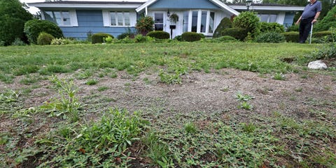 How To Get Rid Of Lawn Weeds