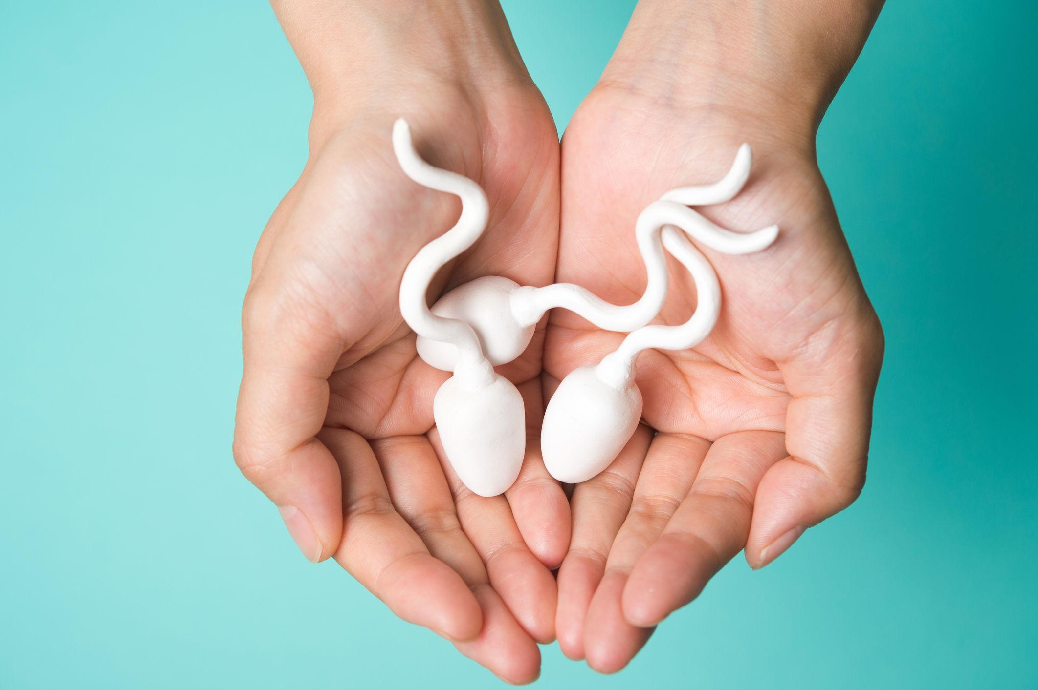 Semen and sperm quality and male fertility picture