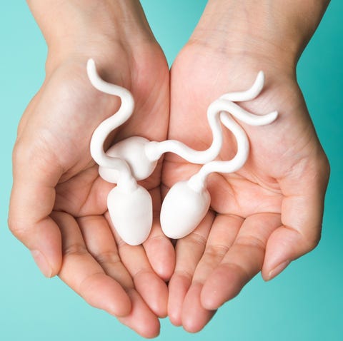 Semen and sperm quality and male fertility