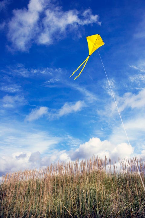 yellow kite flying, above green sea grasses yellow kite flying, above green sea grasses