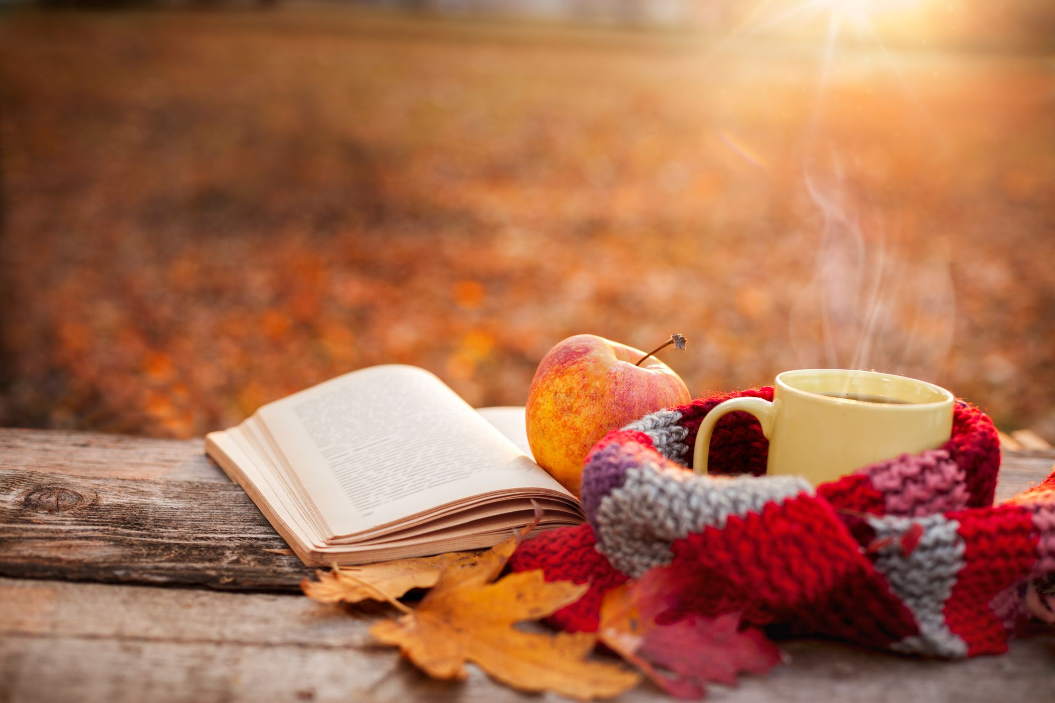 47 Best Fall Quotes About Autumn - Top Sayings About Autumn