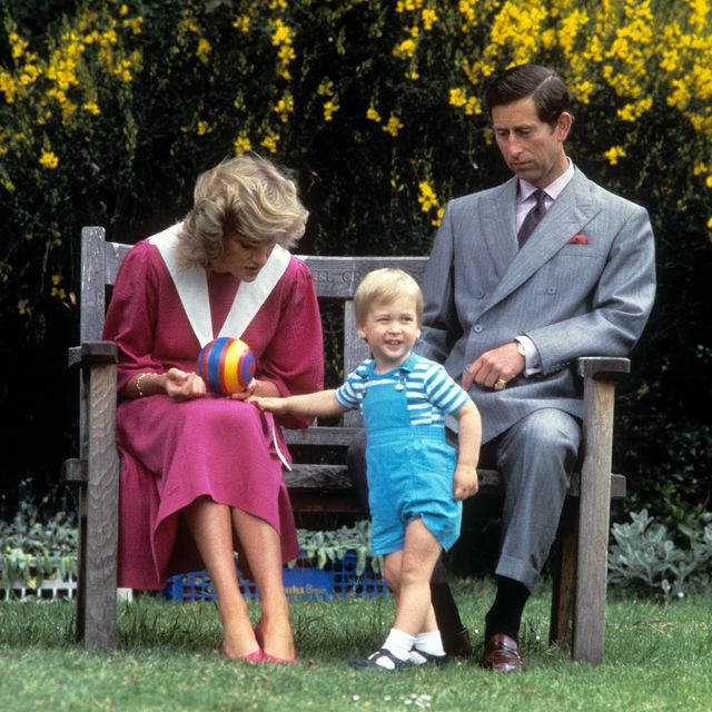 Young Prince William Told Prince Charles He Hated Him