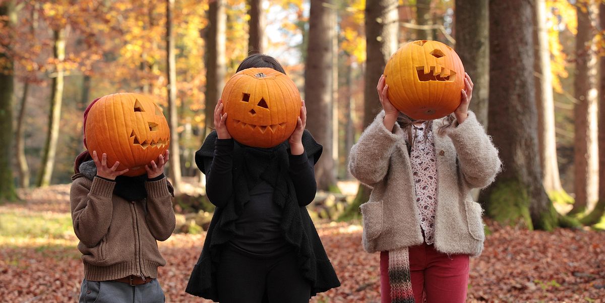 These Quotes About Pumpkins Will Put You in the Autumn ...