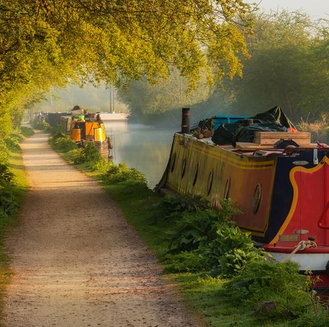 Nature, Waterway, Canal, Natural landscape, Morning, Tree, Sunlight, Rural area, Vehicle, Thoroughfare, 