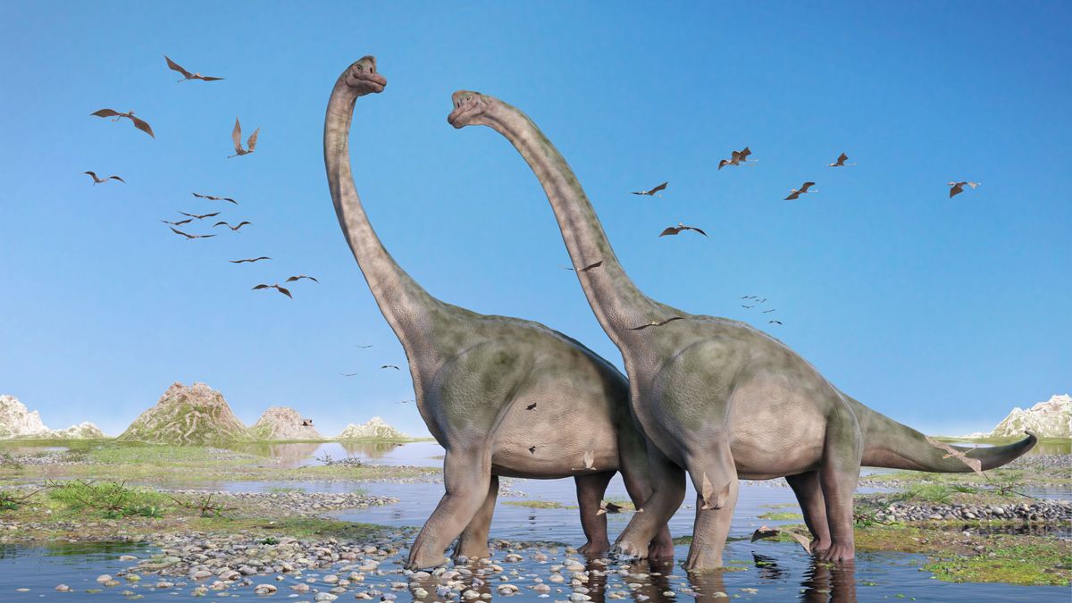 Sabías que los dinosaurios no caminaban como pensábamos?