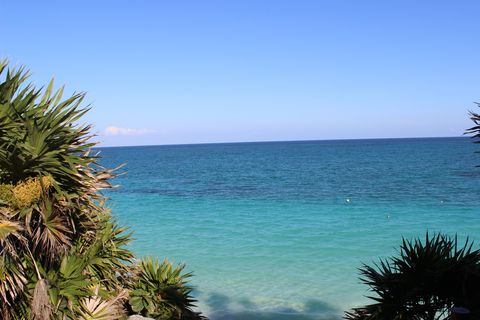 Sky, Blue, Sea, Ocean, Vegetation, Tree, Palm tree, Vacation, Shore, Tropics, 