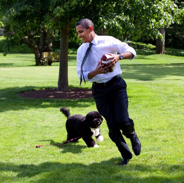 obama met hond bo