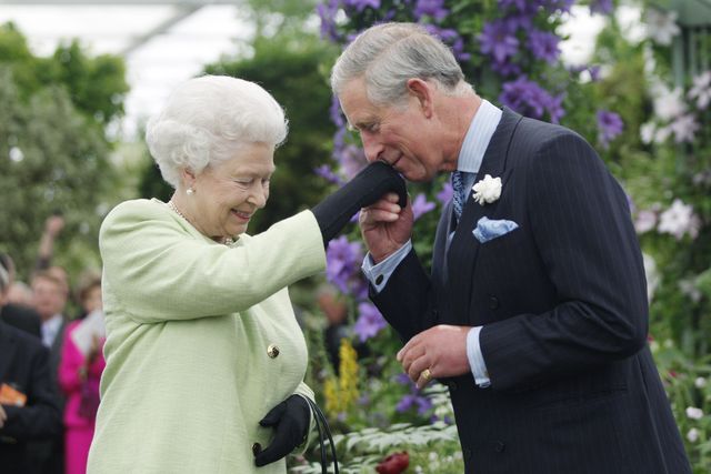 prince charles gives update on queen health